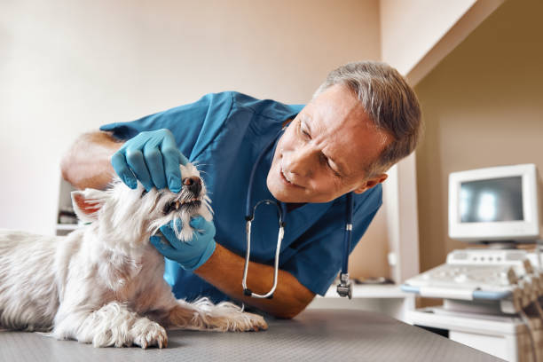 Best Broken Tooth Emergency  in Seaside Heights, NJ
